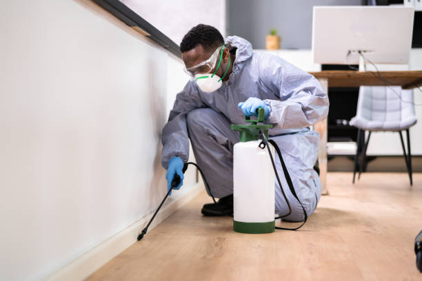 Professional Pest control in Sylvan Springs, AL